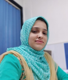 Mubashirin Arabhavi - Sr. Engineer-Internal Sales (India)