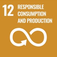 Responsible consumption and production